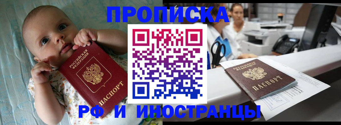 прописка поиск в Шебекино